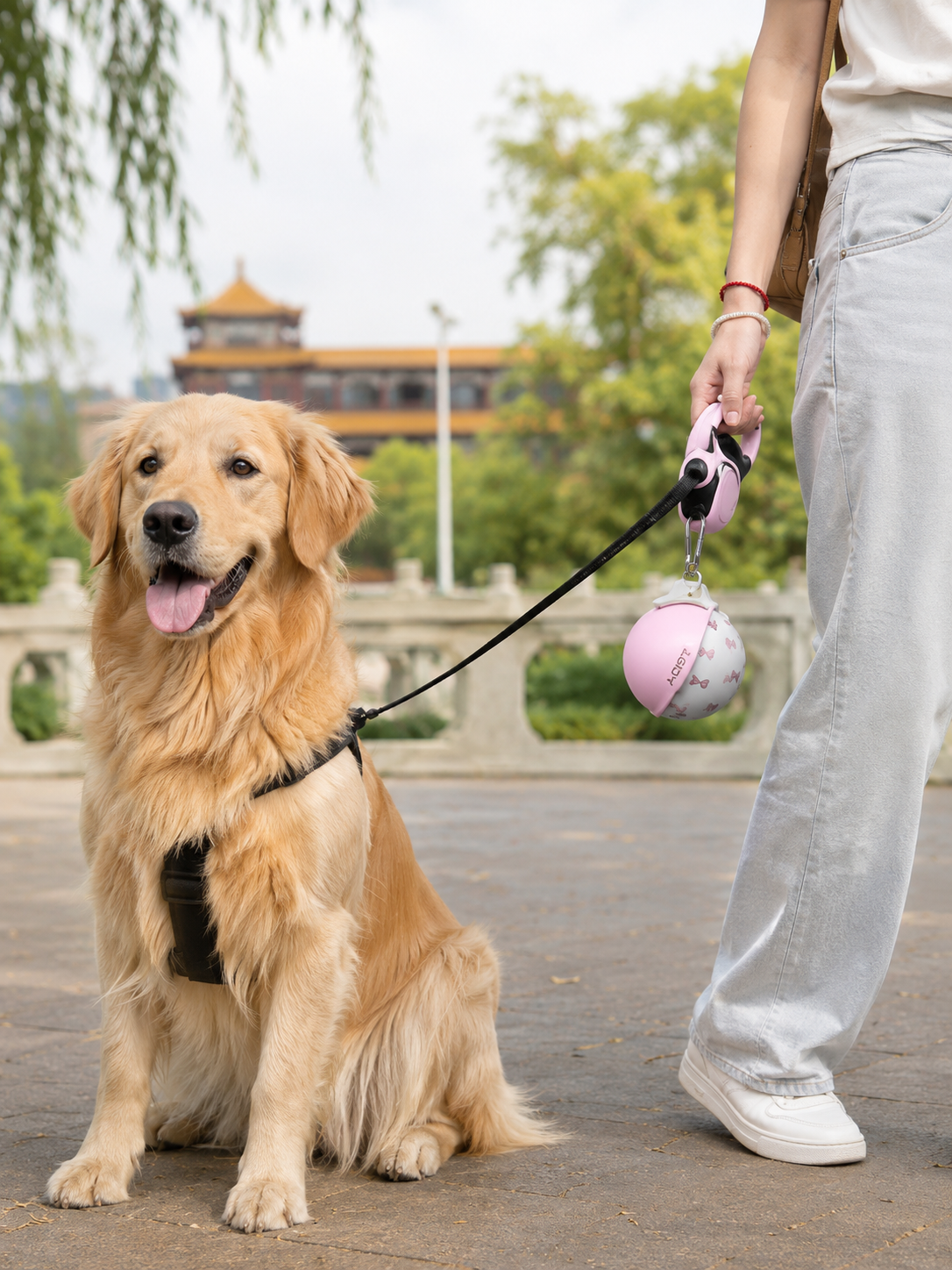 Golden retriever walking with WagWander portable dog water bottle clipped to leash